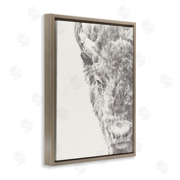 Stupell Industries Ethan Harper | Detailed Graphite Bison Rural Farm Drawing Wall Art