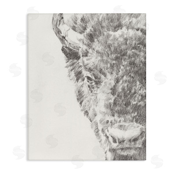 stupell industries Ethan Harper | Detailed Graphite Bison Rural Farm Drawing Wall Art