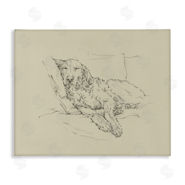 stupell industries Ethan Harper | Fluffy Retriever Napping Dog Sketch Wall Art