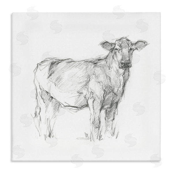 stupell industries Ethan Harper | Minimal Cattle Sketch Wall Art