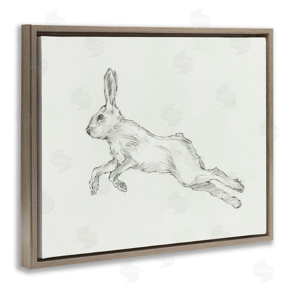 Stupell Industries Ethan Harper | Rabbit Hopping Sketch Wall Art