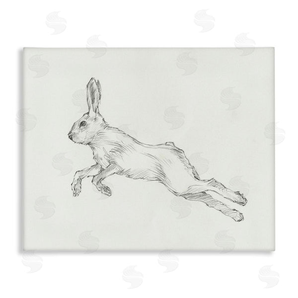 stupell industries Ethan Harper | Rabbit Hopping Sketch Wall Art