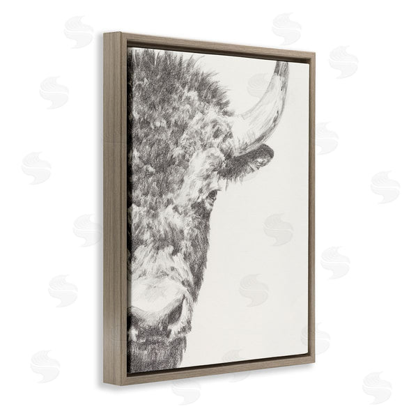 Stupell Industries Ethan Harper | Rural Bison Animal Drawing Detailed Graphite Wildlife Wall Art