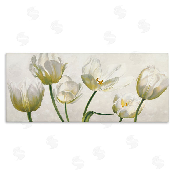stupell industries Eva Barberini | Soft White Blooming Tulips Wall Art