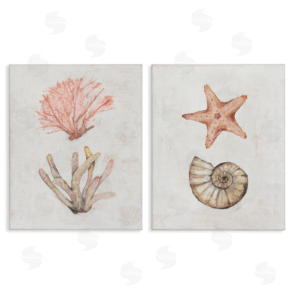 stupell industries Filippo Ioco | Neutral Pastel Sea Life