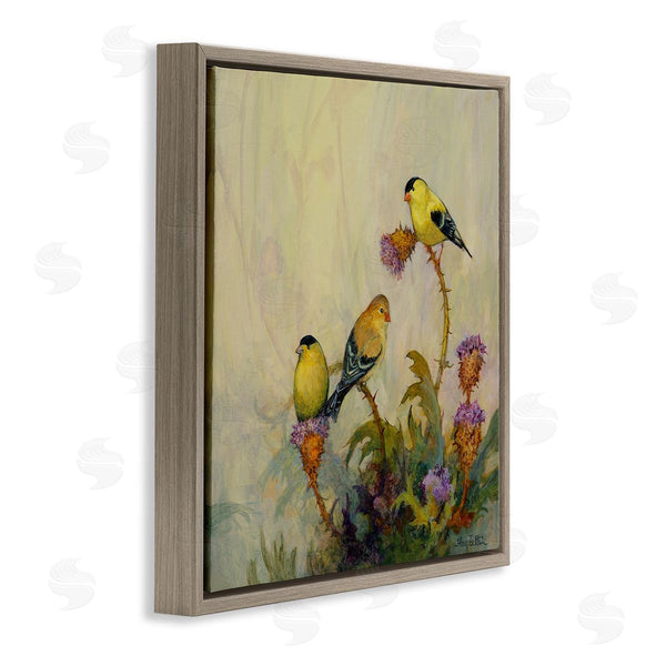Stupell Industries Floy Zittin | American Goldfinch Birds