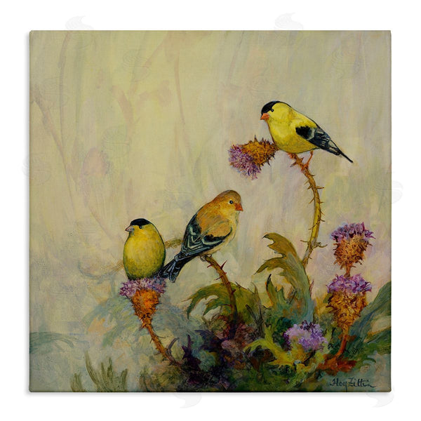 stupell industries Floy Zittin | American Goldfinch Birds