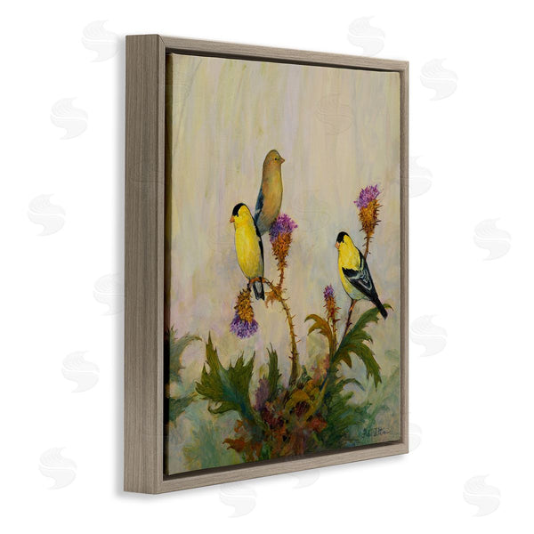 Stupell Industries Floy Zittin | American Goldfinch Trio