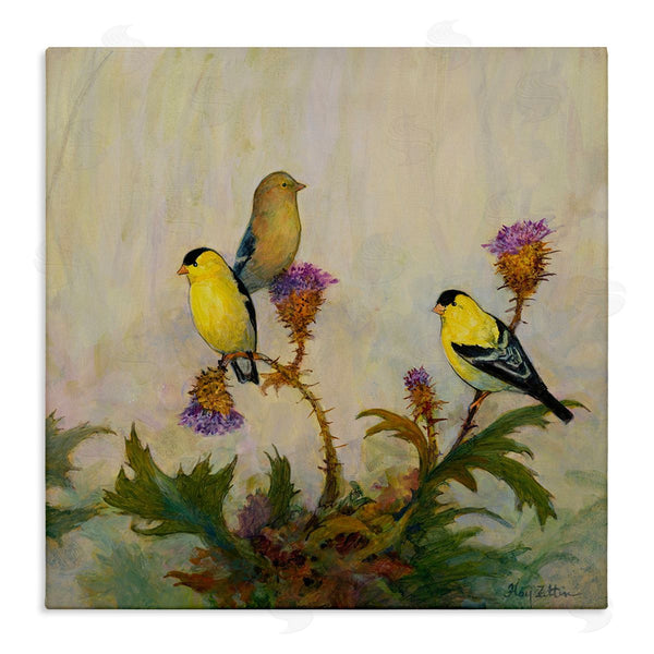 stupell industries Floy Zittin | American Goldfinch Trio