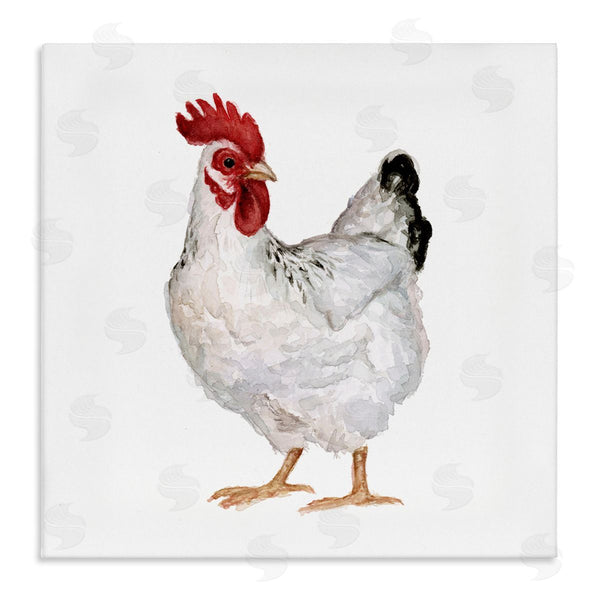 stupell industries Fox Hollow Studios | Quaint Chicken Watercolor Painting Farm Hen Portrait Wall Art