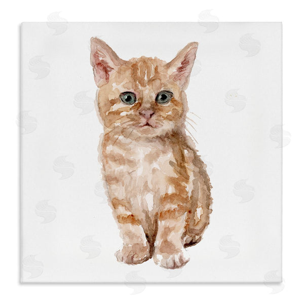 stupell industries Fox Hollow Studios | Tabby Cat Kitten Watercolor Portrait Nursery Animal Wall Art