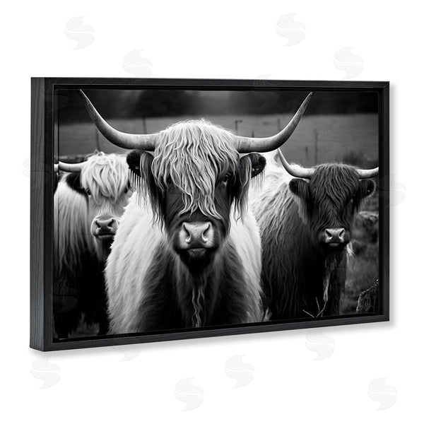 Stupell Industries Franklyn Gregory | Black & White Highland Cows