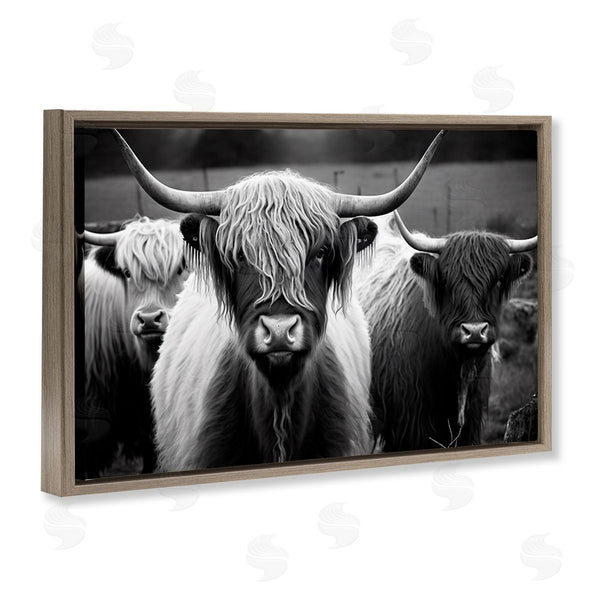 Stupell Industries Franklyn Gregory | Black & White Highland Cows