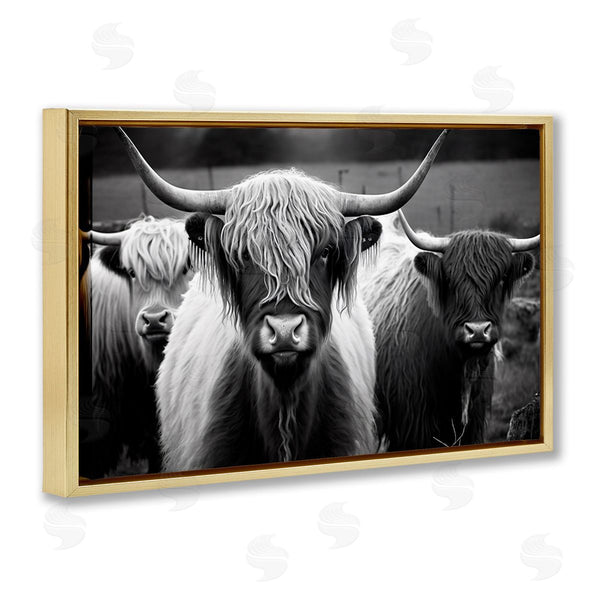 Stupell Industries Franklyn Gregory | Black & White Highland Cows