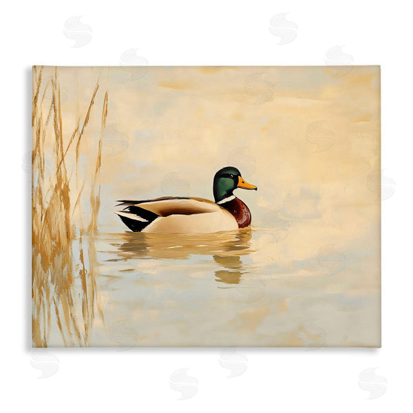 stupell industries Franklyn Gregory | Green Headed Duck