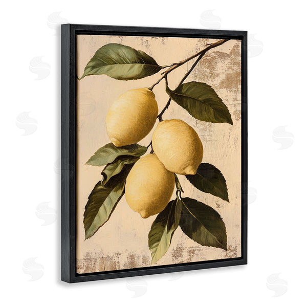 Stupell Industries Franklyn Gregory | Lemon Harvest On Vine