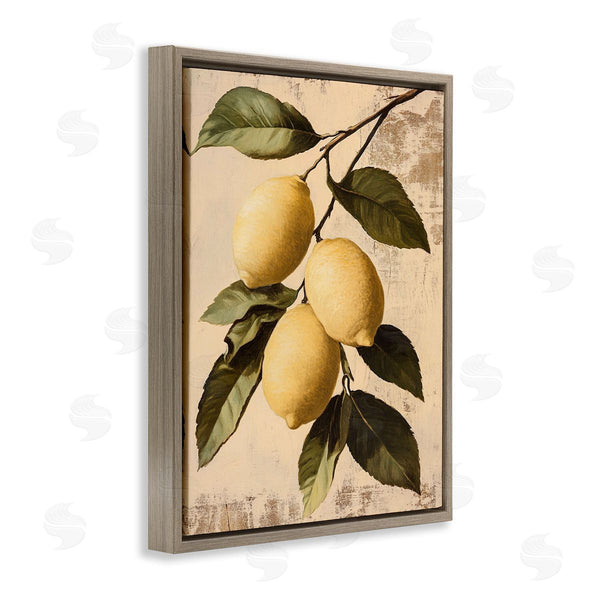Stupell Industries Franklyn Gregory | Lemon Harvest On Vine
