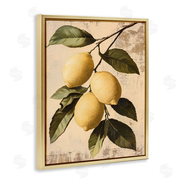 Stupell Industries Franklyn Gregory | Lemon Harvest On Vine