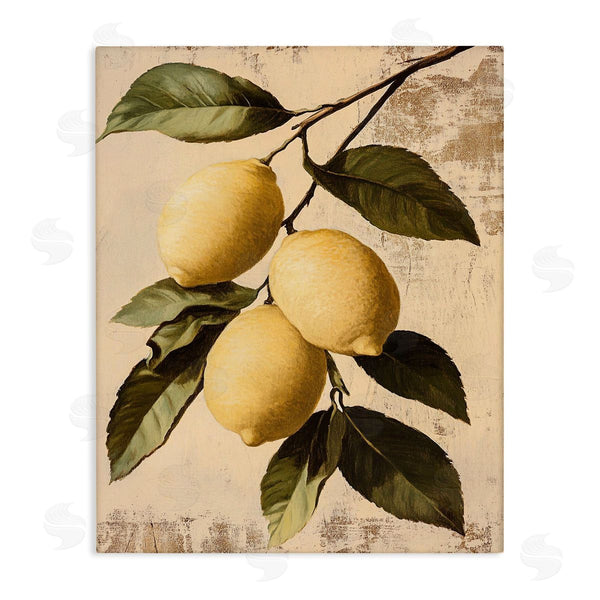 stupell industries Franklyn Gregory | Lemon Harvest On Vine