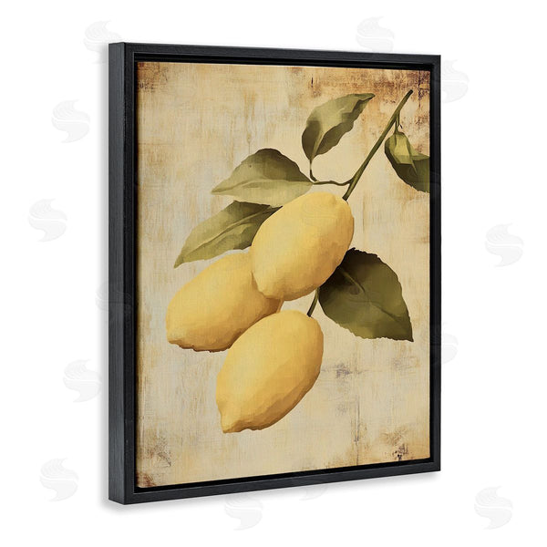 Stupell Industries Franklyn Gregory | Lemons On The Vine