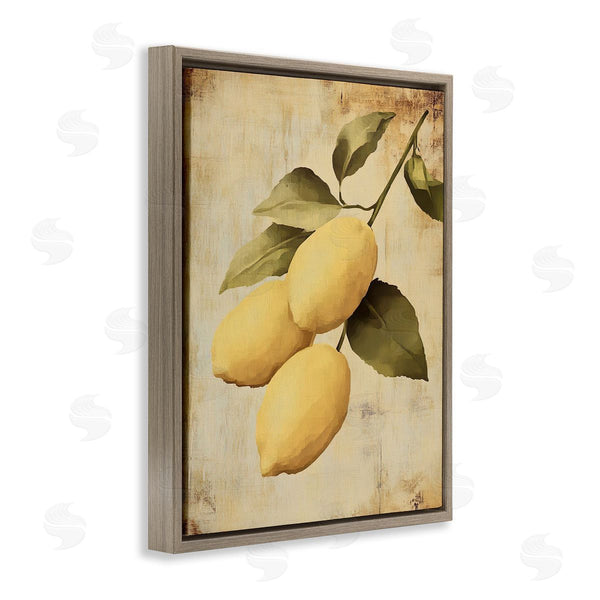 Stupell Industries Franklyn Gregory | Lemons On The Vine