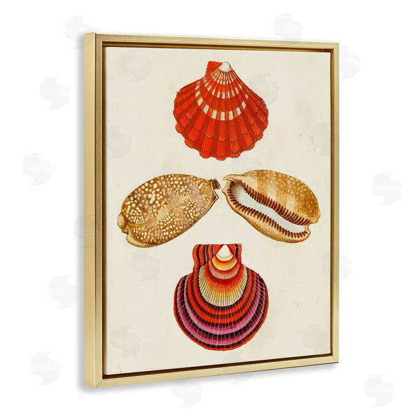 Stupell Industries G.W. Knorr | Antique Speckled Sea Shells