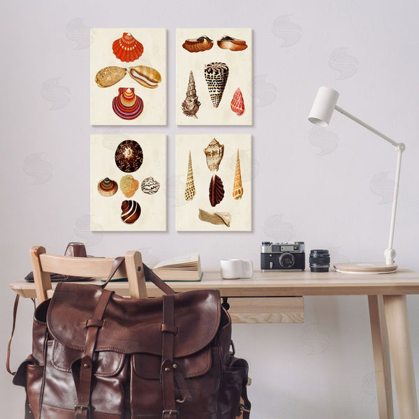Stupell Industries G.W. Knorr | Vintage Nautical Seashells Warm Tones Wall Art