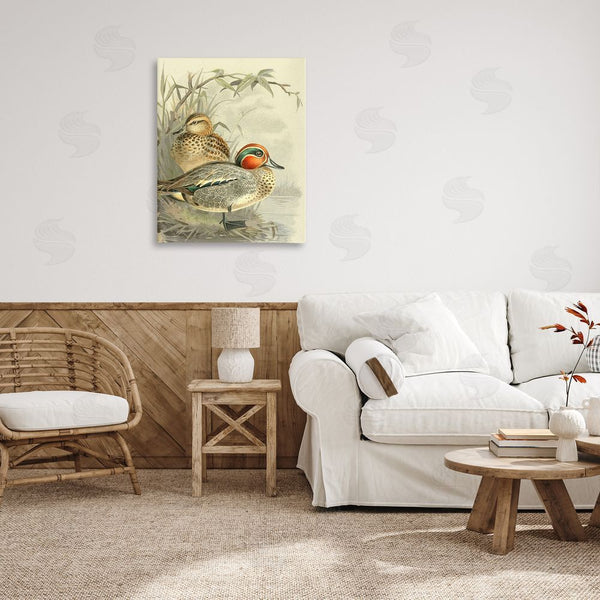 Stupell Industries Gail Fraser | Ducks With Pond Botanicals Wall Art