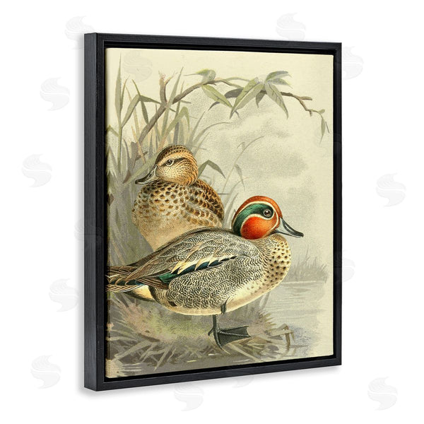 Stupell Industries Gail Fraser | Ducks With Pond Botanicals Wall Art