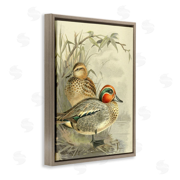 Stupell Industries Gail Fraser | Ducks With Pond Botanicals Wall Art