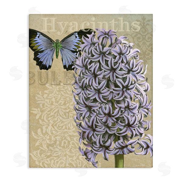 stupell industries Gail Fraser | Hyacinth Pattern & Butterfly Wall Art
