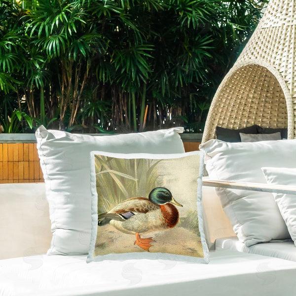 Stupell Industries Gail Fraser | Mallard Duck Scene Printed Throw Pillow