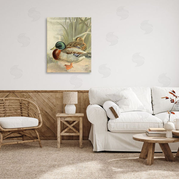 Stupell Industries Gail Fraser | Pond Ducks Relaxing Wall Art