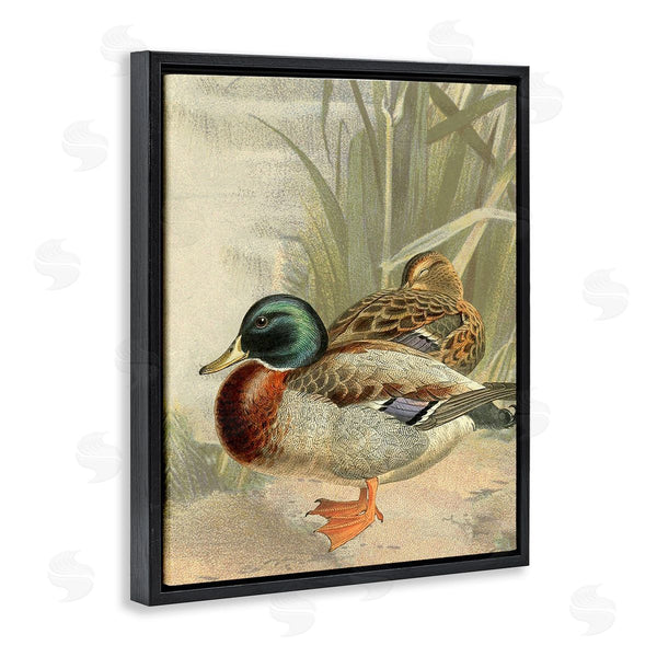 Stupell Industries Gail Fraser | Pond Ducks Relaxing Wall Art