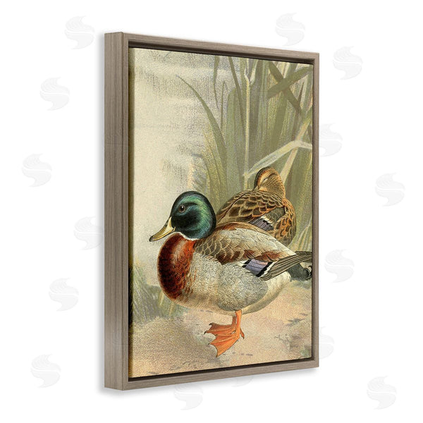 Stupell Industries Gail Fraser | Pond Ducks Relaxing Wall Art