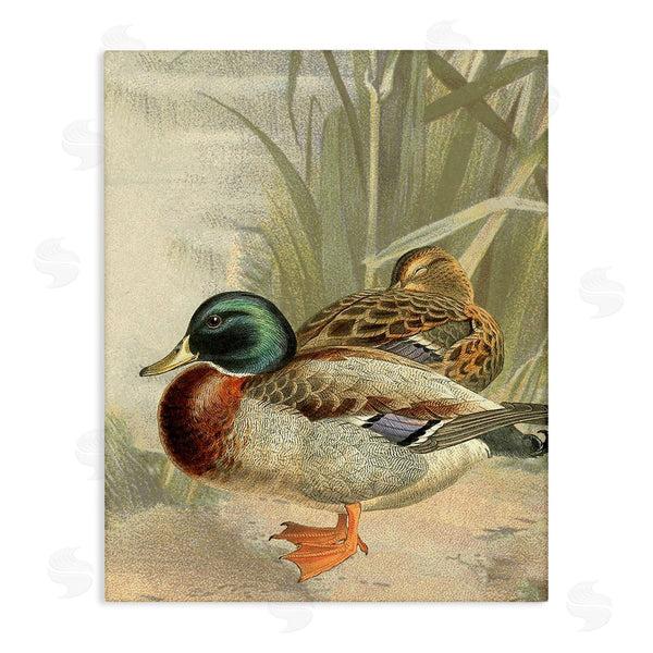 stupell industries Gail Fraser | Pond Ducks Relaxing Wall Art