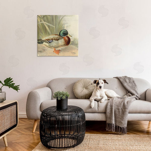 Stupell Industries Gail Fraser | Traditional Duck & Pond Wall Art