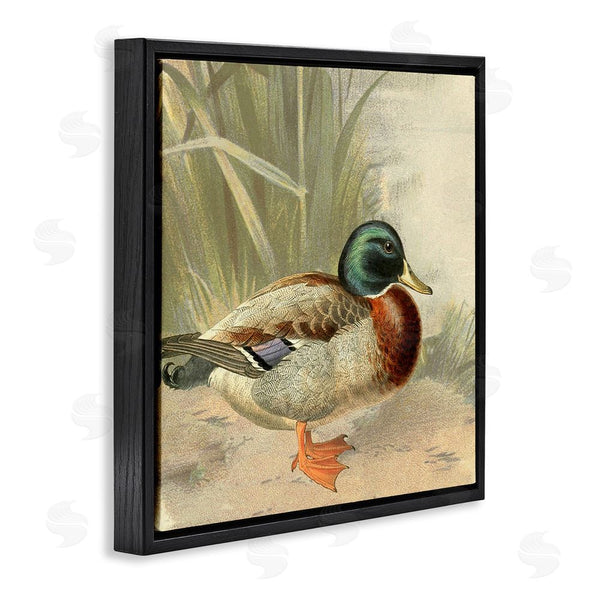 Stupell Industries Gail Fraser | Traditional Duck & Pond Wall Art