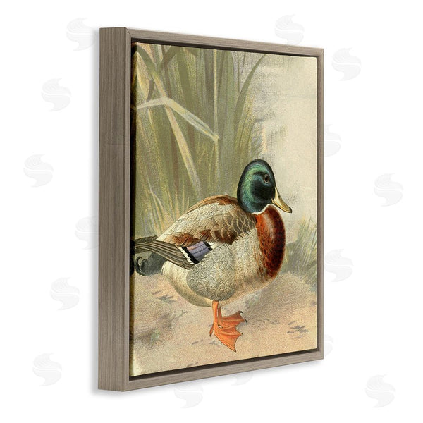 Stupell Industries Gail Fraser | Traditional Duck & Pond Wall Art