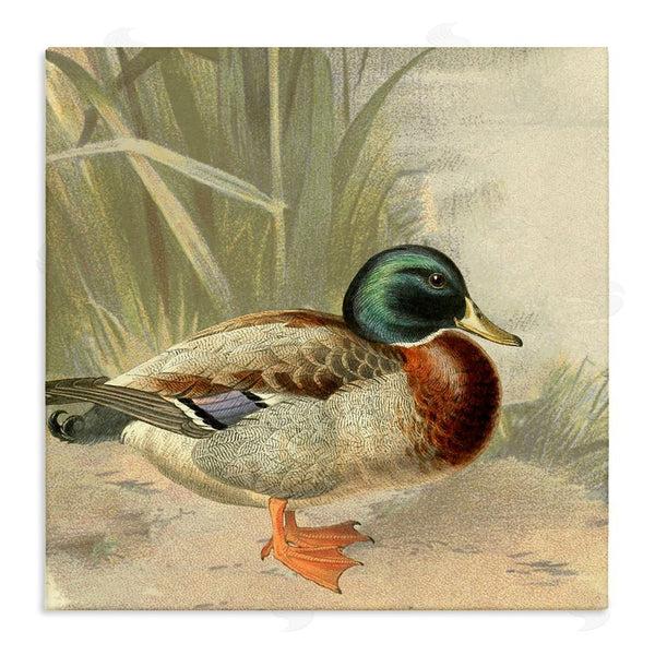 stupell industries Gail Fraser | Traditional Duck & Pond Wall Art