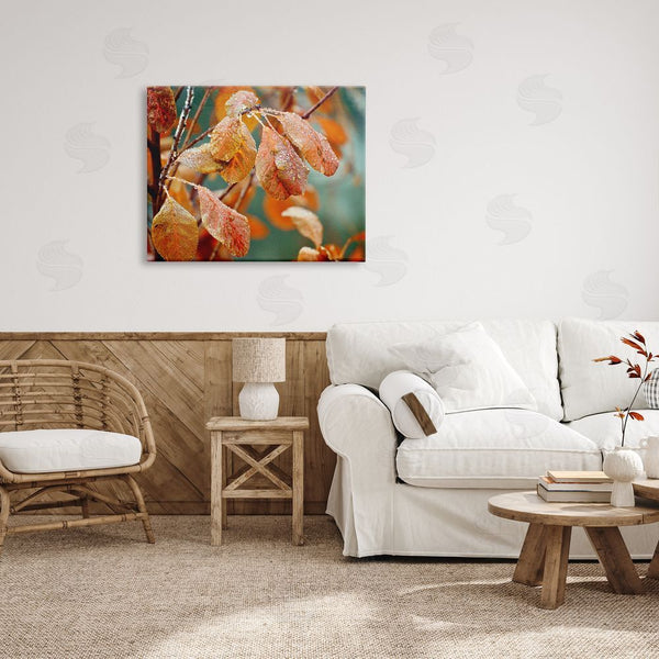 Stupell Industries Gail Peck | Autumn Tree Leaves Water Droplets Fall Foliage Wall Art