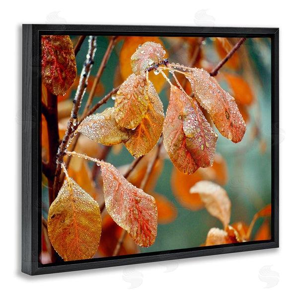 Stupell Industries Gail Peck | Autumn Tree Leaves Water Droplets Fall Foliage Wall Art