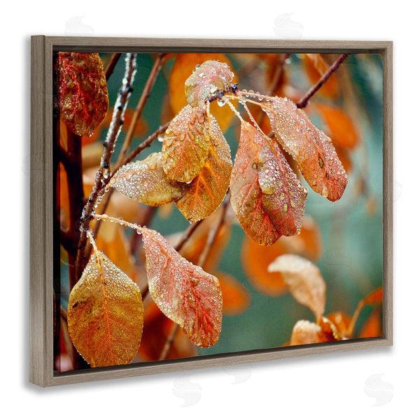Stupell Industries Gail Peck | Autumn Tree Leaves Water Droplets Fall Foliage Wall Art