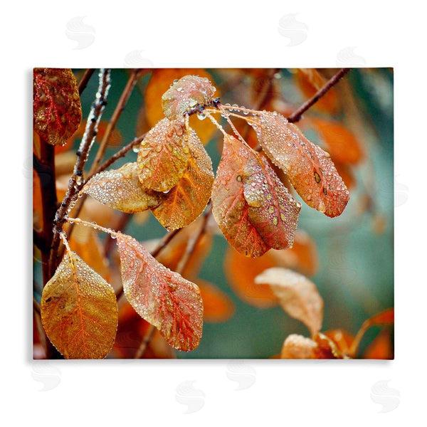 stupell industries Gail Peck | Autumn Tree Leaves Water Droplets Fall Foliage Wall Art