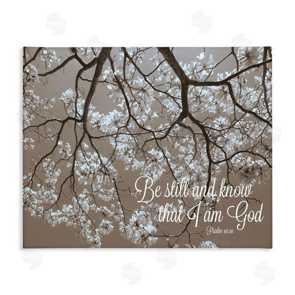 stupell industries Gail Peck | Be Still Apple Blossoms Wall Art