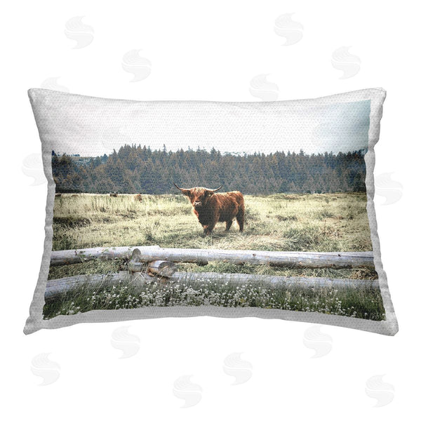 Stupell Industries Gail Peck | Cattle Overlooking Fence
