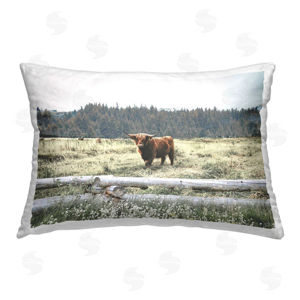 stupell industries Gail Peck | Cattle Overlooking Fence