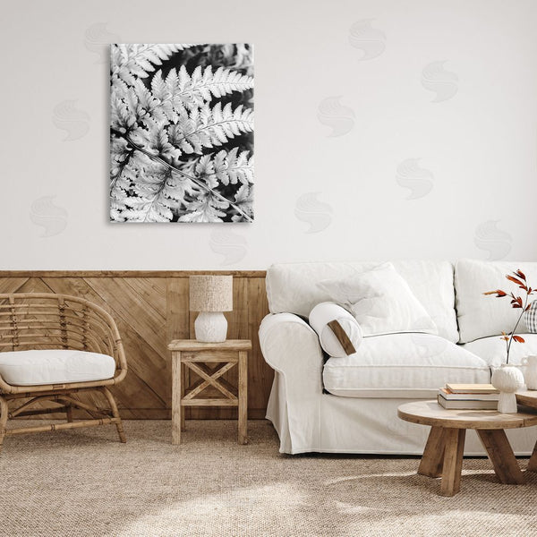 Stupell Industries Gail Peck | Forest Fern Fronds High Contrast Black White Photography Wall Art