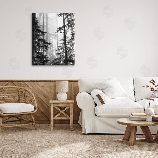 Stupell Industries Gail Peck | Forest Light Shining Through Tall Trees Landscape Photography Wall Art
