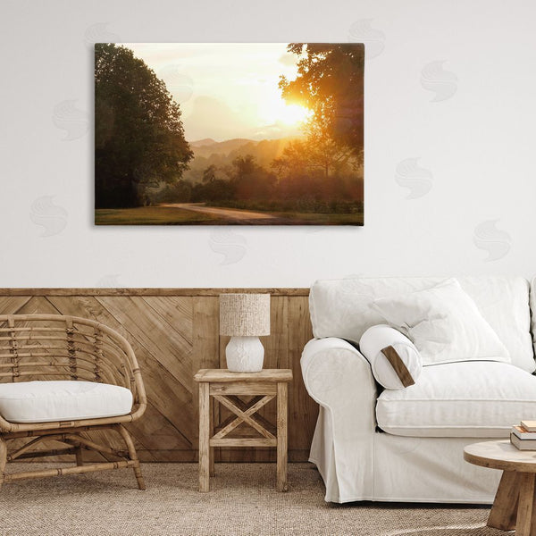 Stupell Industries Gail Peck | Golden Morning Between Trees Wall Art